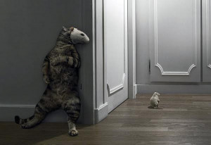 Quotes and Sayings. Full of Wisdom and Life Essence.