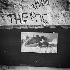 the 1975 more music shiz the 1975 lyrics quotes band 1975 heart songs ...