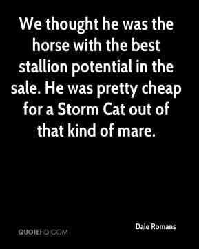 Stallion Quotes
