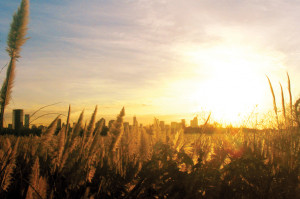 Rural lawmakers are dwindling in number as people continue to migrate ...