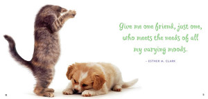 Kitty and puppy funny friendship quote