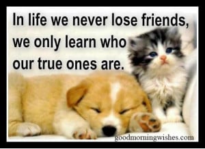 friendship quotes, quotes about friendship, True Friend Good Morning ...