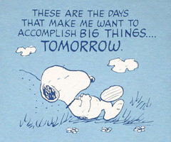 ... quotes that describe my current predicament quite accurately (aka