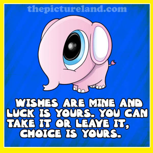 Funny Sayings Pictures About Wishes