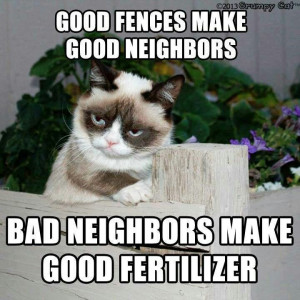 . Bad neighbors make good fertilizer. Grumpy catFence, Cat Quotes ...