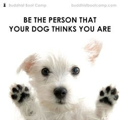... your dog thinks you are!
