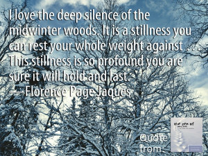 The stillness of the winter woods | Winter quotes from 
