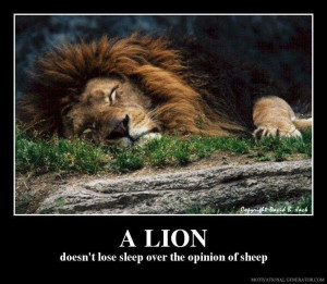 sheep doesn't lose sleep over the opinion of the lions