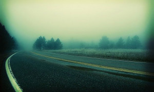 Foggy road ( eioua/flickr/CC-BY-2.0 )