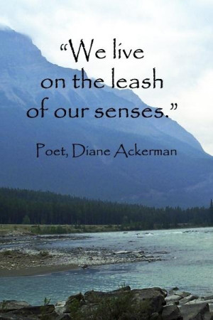 We live on the leash of our senses.” -- AMERICAN POET, DIANE ...