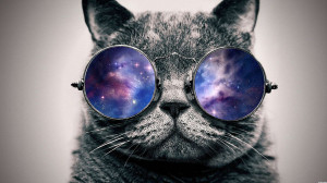 Galaxy cat