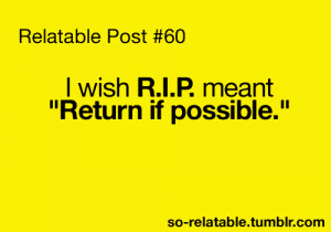 Rest in Peace My Friend Quotes