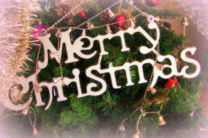 Merry Christmas: Photo courtesy of xcode