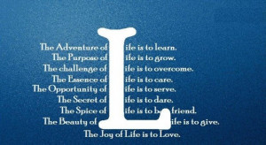 The adventure of life is to learn challenge quote