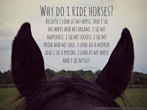 Some of horses quotes