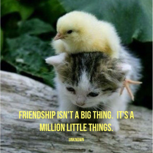 Friendship isn't a big thing. It's a million little things.