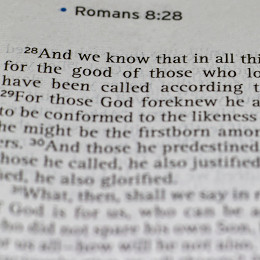 ... human being. Read the Buzzle article to find some verses on faith