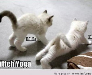 funny march, love quotes, funny animals, funny quotes, funny kids