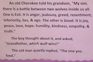 An old Cherokee told his grandson, 