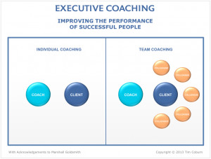 Executive Coaching Models