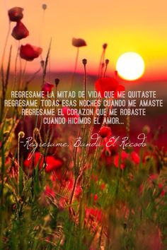 Banda El Recodo - Regresame More