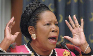 Sheila Jackson Lee gets offered matches after vowing to set herself on ...