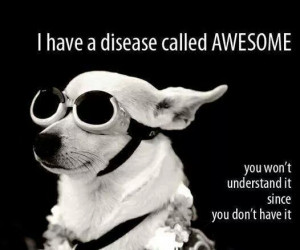 Funny Quotes About Being Awesome Funny quotes about being