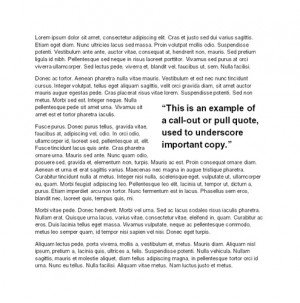 Pull quote or call-out example