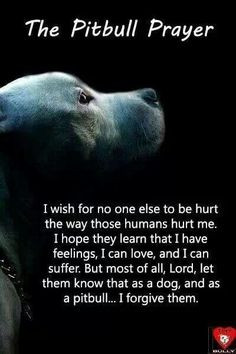 Pibble 3 Animal, Pets Sadness, Pitbull Prayer Quotes, Animal Quotes ...