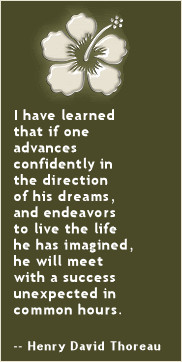 Sesame Street Quotes About Life Thoreau quote