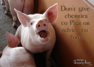 Don’t give cherries to Pigs or advice to Fools”