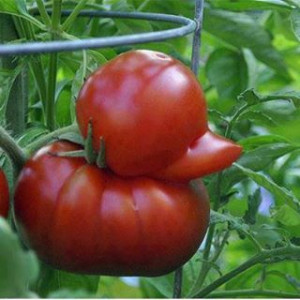 Uploaded to Pinterest