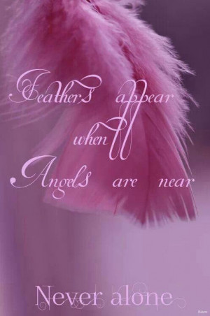 Feathers appear when angels are near