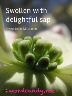 Swollen With Delightful Sap ” - Archibald MacLeish ~ Spring Quote ...