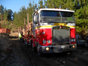 FORESTRY LOGGING