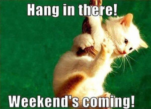 Hang in there weekend cat
