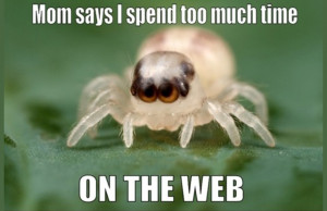 Top Web Design Memes on the Internet