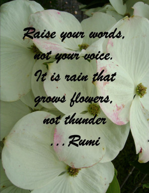 Raise Your Words Not Your Voice Rumi Quote, Dogwood Flowers, flowers ...