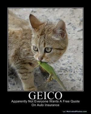 Lacertid Pays The Price For Being Mistaken For A Gecko; Thanks Geico