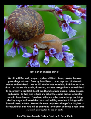 David Coats quote of factory farms, with snail and flower