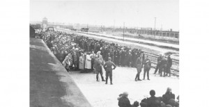 SS Erkennungs Dienst, View of the Ramp at Auschwitz-Birkenau Showing ...