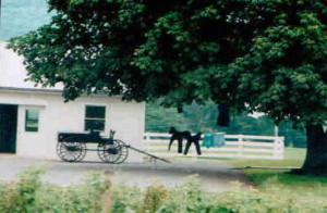 Amish farm panorama near Centre Hall, Pennsylvania
