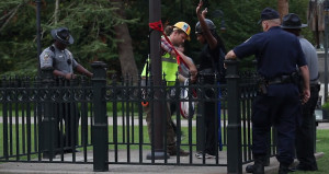 As Bree made her way back to the ground, she began to quote a ...