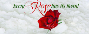 Red Roses Images With Quotes Red-rose-with quote image 2013