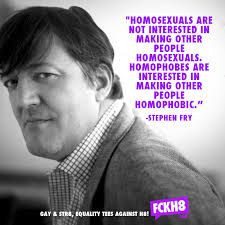 Great Stephen Fry quote on Homophobia