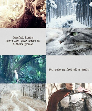 The Iron Fey. Good books, just finished the first in the series, now ...