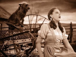 The Wizard of Oz – Classic Film Review 14 | Derek Winnert