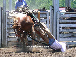 bronc rider hangs up momentarily with both feet in the stirrups