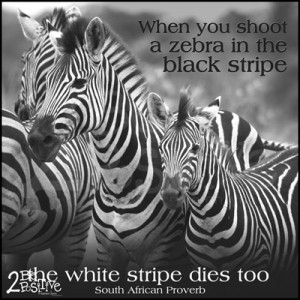 Zebra quote, South Africa proverb