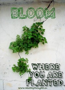 Motivational-quotes-bloom-216x300.jpg